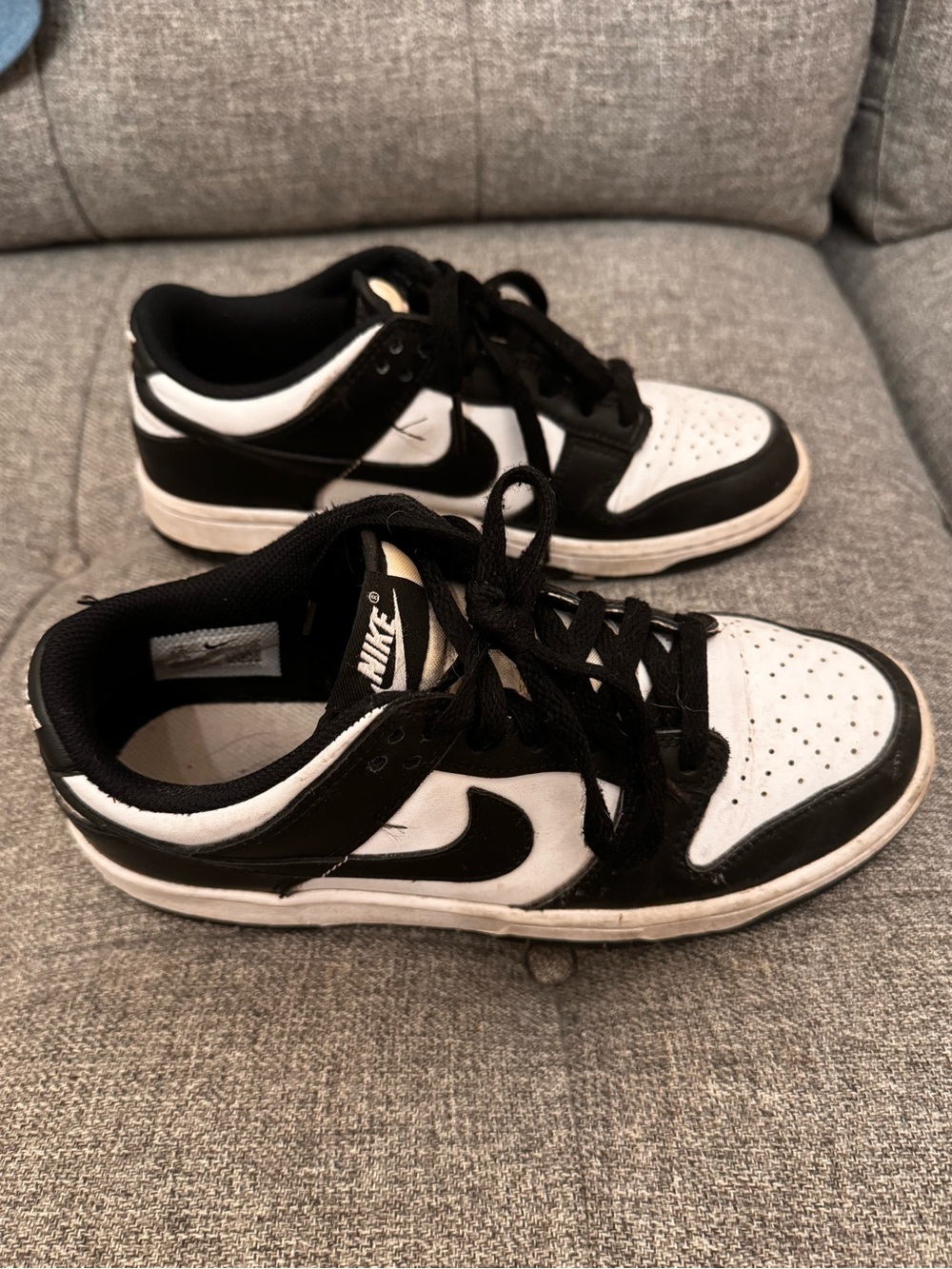 Nike Dunks Kids Black and White Low-Top Sneakers